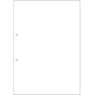FSC®認証 マルチプリンタ帳票 複写タイプ A4 ノーカーボン 白紙 2穴の画像01