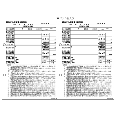 給与支払報告書（総括表） A4 2面の画像