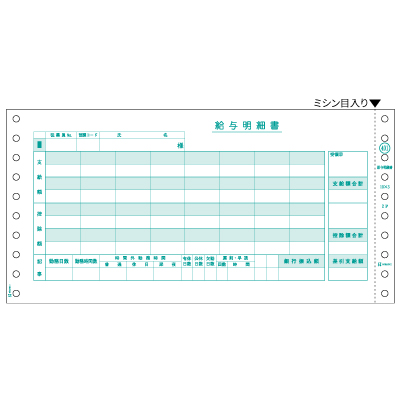 給与明細 2Pの画像01