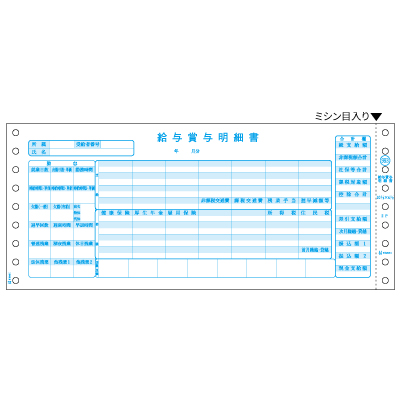 給与賞与明細書 2Pの画像01