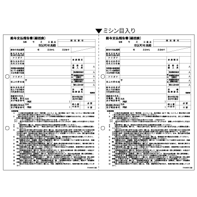 給与支払報告書（総括表） A4 2面の画像01